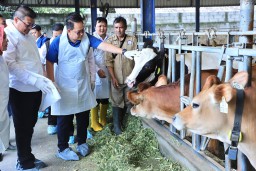 Baca juga : DPRD Jatim setujui anggaran penanggulangan PMK Rp25 miliar