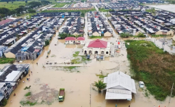Baca juga : BNPB: Kerugian Banjir di Jabodetabek Hampir Rp1,7 triliun