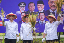 Baca juga : Wagub Emil: Swasembada Pangan Harus Selaras Peningkatan Kesejahteraan Petani