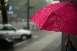 Baca juga : Prakiraan Cuaca: Jatim Besok Diguyur Hujan Ringan Hingga Sedang dan Disertai Petir