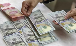 Baca juga : Indonesia Harus Lawan Balik Terapkan Tarif Sama dengan AS