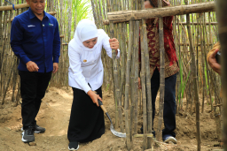 Baca juga : Khofifah Luncurkan KURsus Petani Tebu Jatim, Optimistis Wujudkan Swasembada Gula