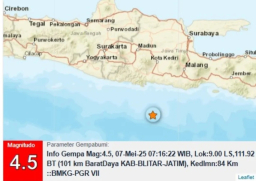 Gempa Blitar M 4,5 Guncangan Terasa hingga Wilayah Jawa Timur Lainnya
