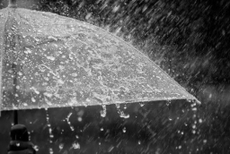 BMKG Peringatkan Potensi Bencana Hidrometeorologi Akibat Fenomena Kemarau Basah