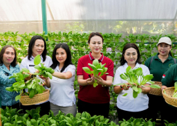 Baca juga : Tim Penggerak PKK Badung Panen Sayur Pokcoy Hidroponik