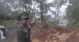 Longsor Tutup Jalan Utama Akses Malang-Lumajang