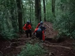 4 Pendaki Tersesat di Gunung Batukaru Tabanan Akhirnya Ditemukan