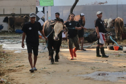 Baca juga : Demi Keamanan, Wali Kota Surabaya Keluarkan Larangan Takbir Keliling di Malam Idul Adha