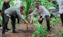 Baca juga : Peresmian Ketahanan Pangan Nusakambangan dan Penanaman Pohon Kelapa, Wabup: Berguna Bagi Warga Badung