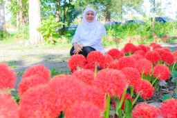Baca juga : Gubernur Khofifah Kagumi Pesona Bunga Desember, Flora Langka Kebanggaan Bondowoso