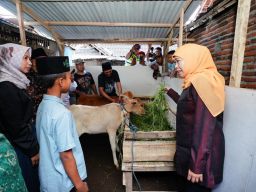 Baca juga : Gubernur Jatim Wujudkan Keinginan Siswa dan Renovasi Rumah Warga