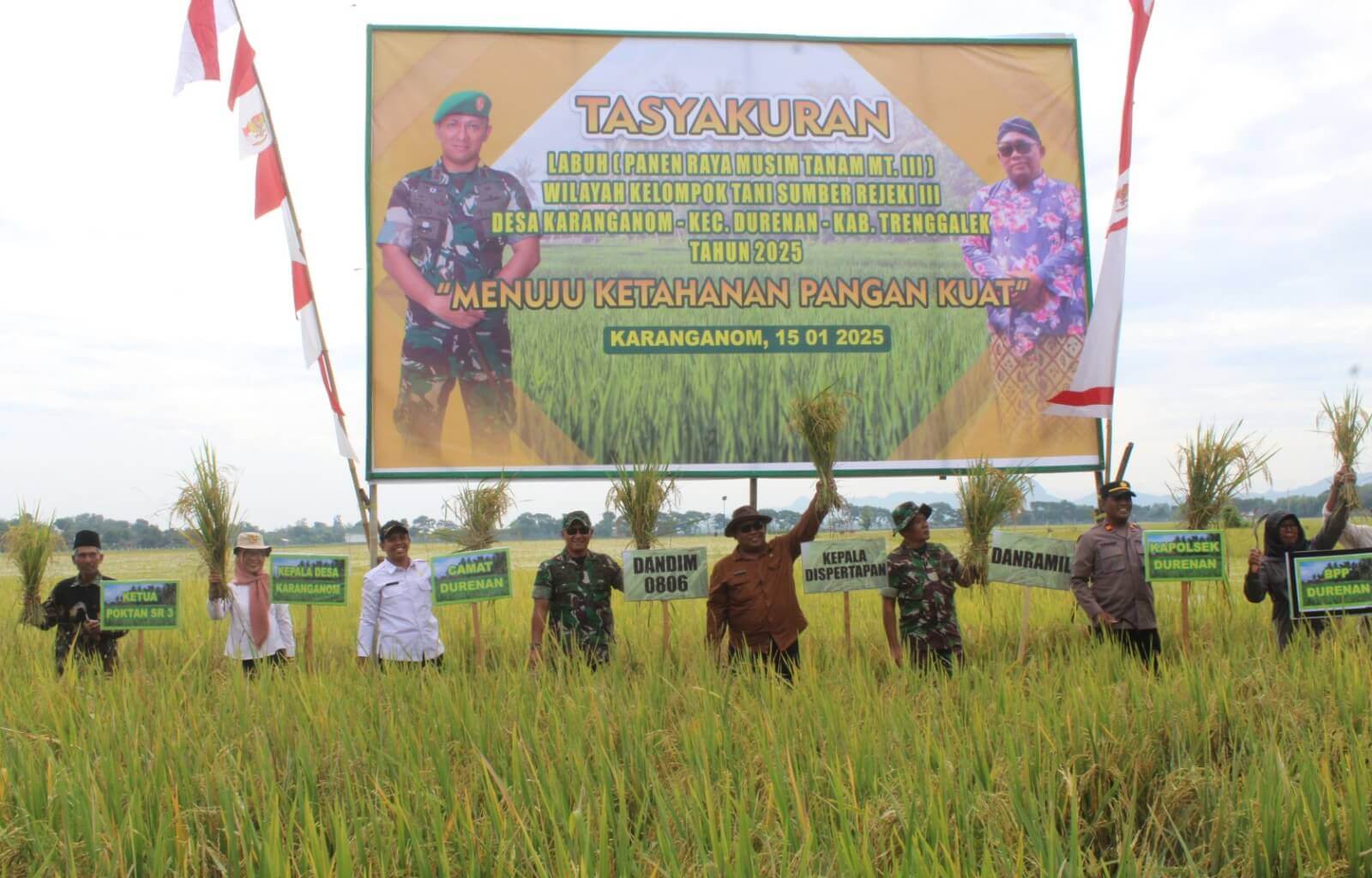 Panen Raya di Trenggalek, Sinergi TNI dan Petani Dorong Swasembada Pangan Nasional