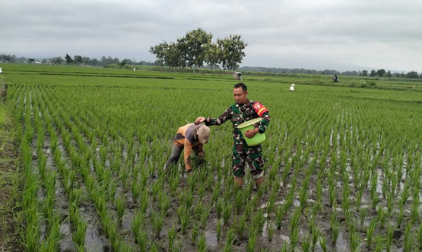 Target LTT Januari Selesai, Ini Persentase Tertinggi dan Terluas di Jajaran Korem 081/DSJ