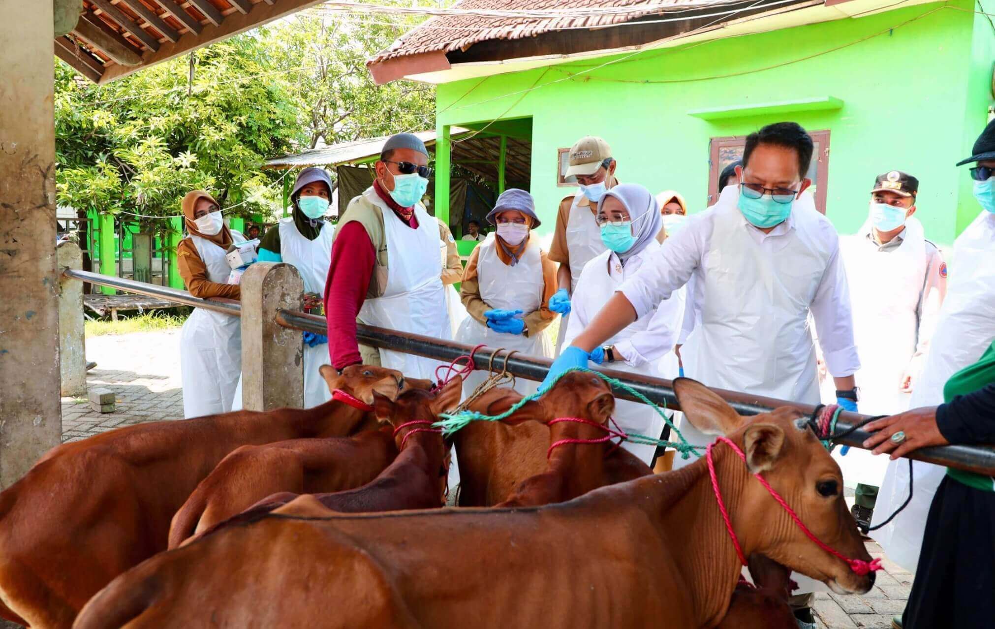Tetapkan Status Darurat PMK, Pj. Gubernur Jatim Imbau Penanganan Dilakukan Cepat dan Holistik