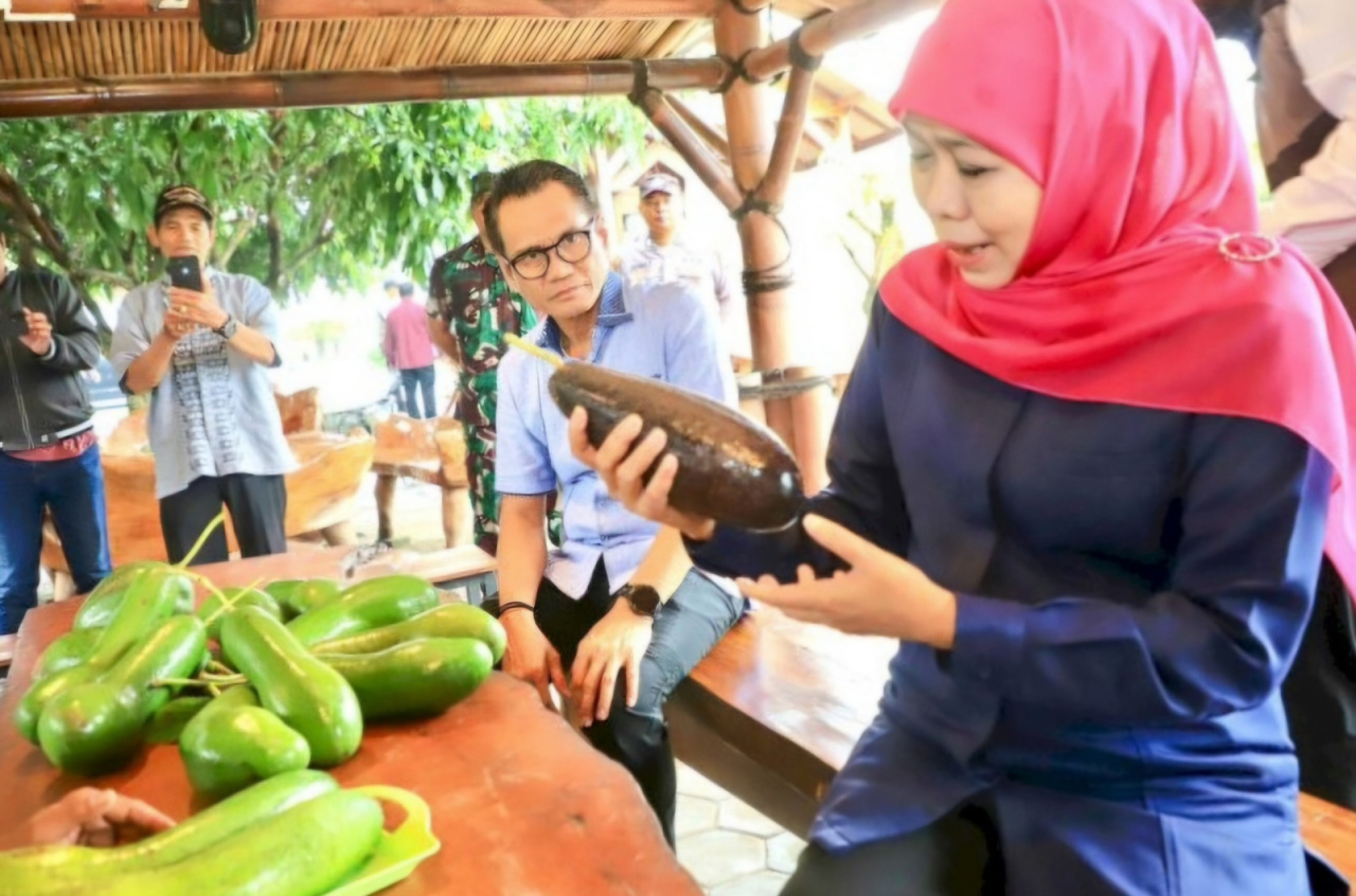 Gubernur Jatim Dorong Petani Kediri Patenkan Alpukat Kelud