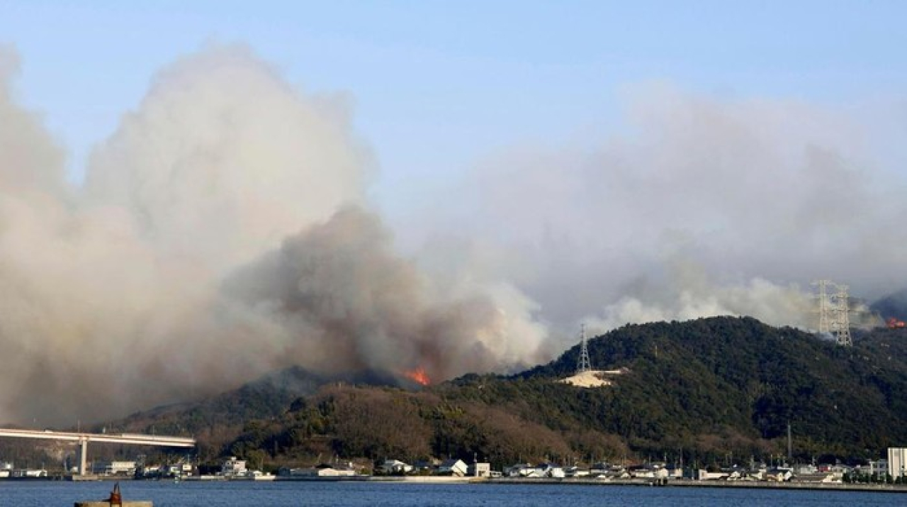 Kebakaran Hutan di Jepang Meluas, Ribuan Warga Dievakuasi