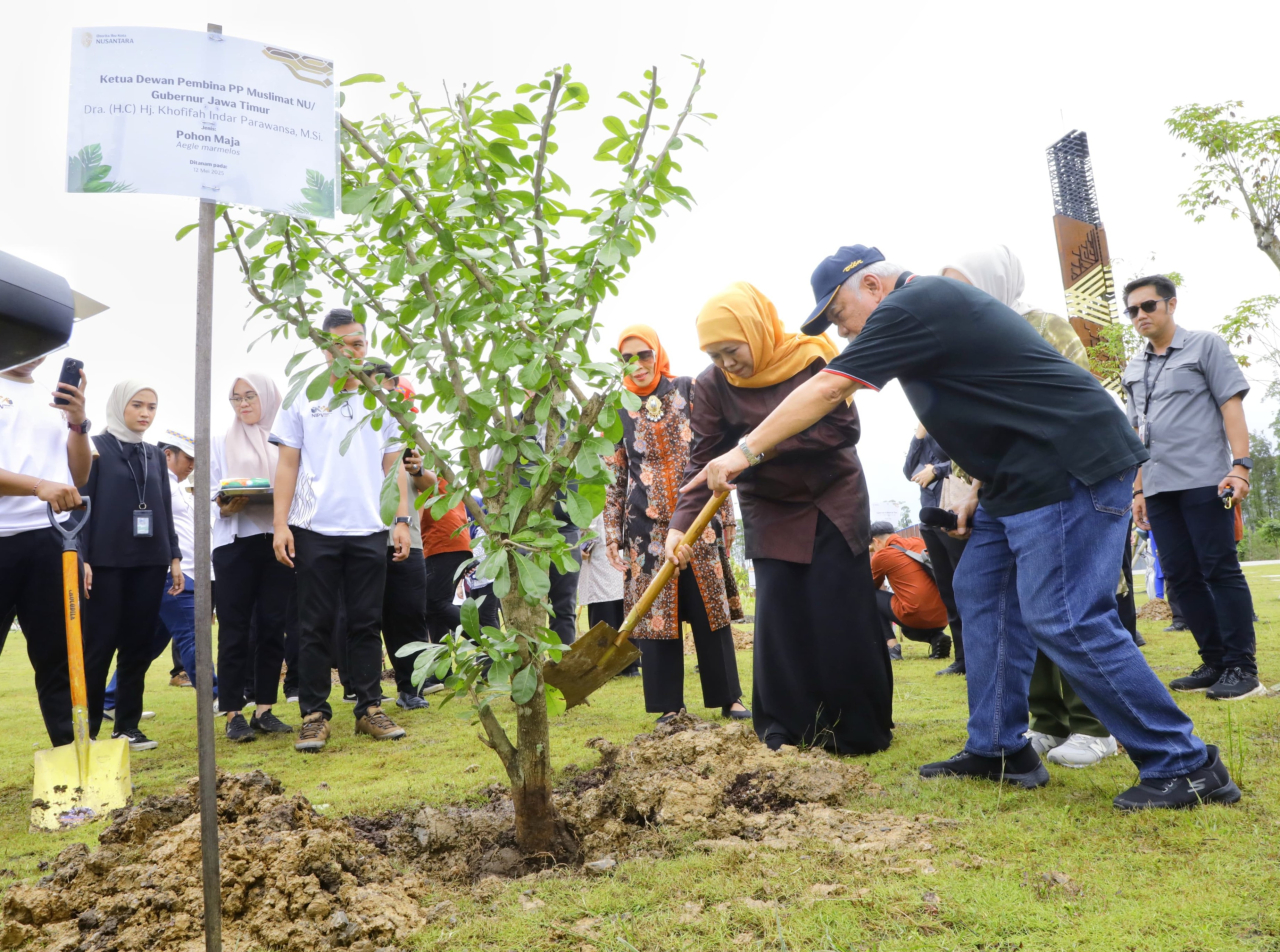 Khofifah Tanam Pohon Maja di IKN, Simbol Optimisme Jatim Sebagai Gerbang Baru Nusantara