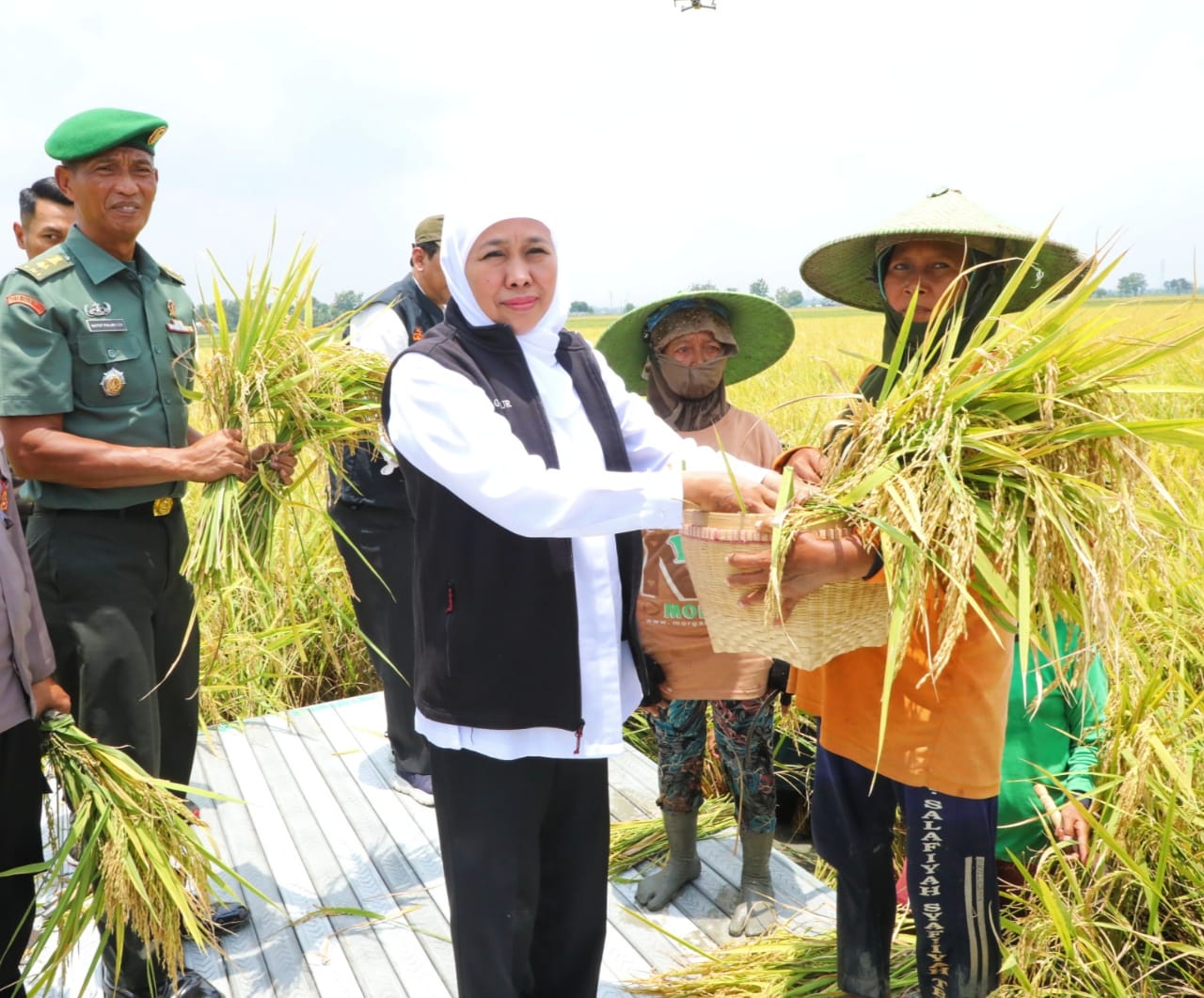 Gubernur Khofifah Optimis Wujudkan Kedaulatan Pangan Nasional dari Jawa Timur