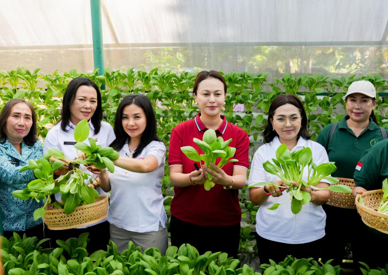 Tim Penggerak PKK Badung Panen Sayur Pokcoy Hidroponik