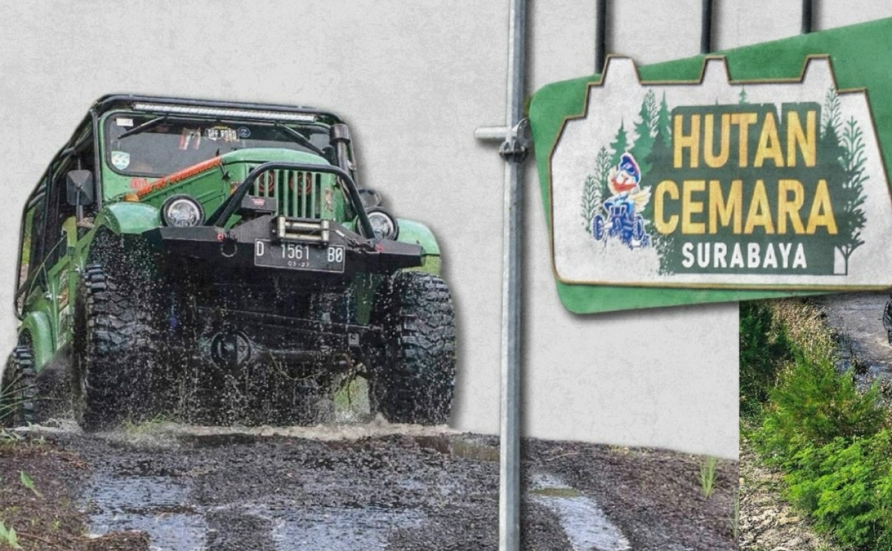 Liburan Sekolah Ada Wisata Offroad Hutan Cemara Pakal Surabaya, Cek Jadwal dan Harganya!