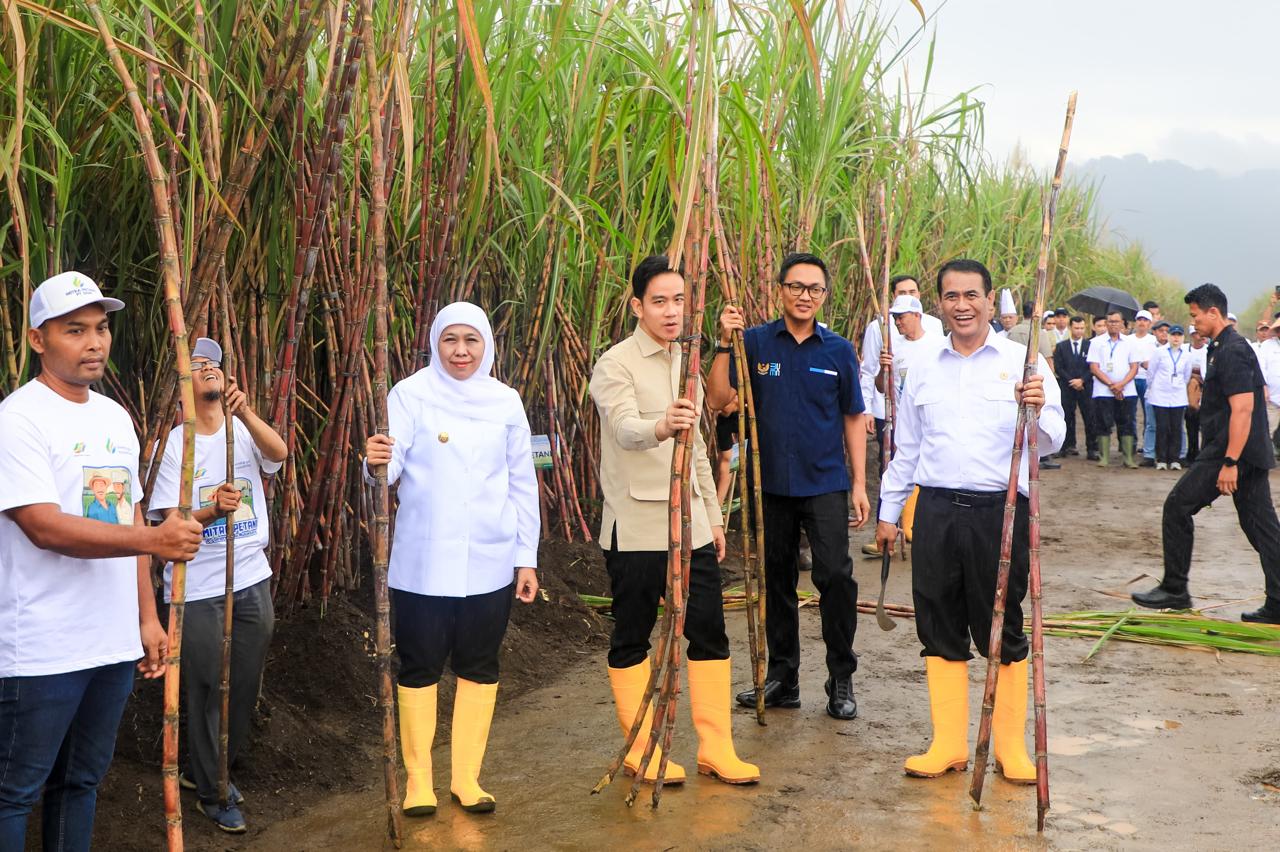 Jatim Kontribusi 51,87 Persen Gula, Siap Wujudkan Swasembada Gula Nasional