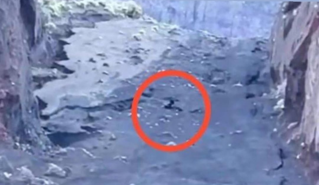 Pendaki Asal Brasil Jatuh di Danau Segara Anak Gunung Rinjani