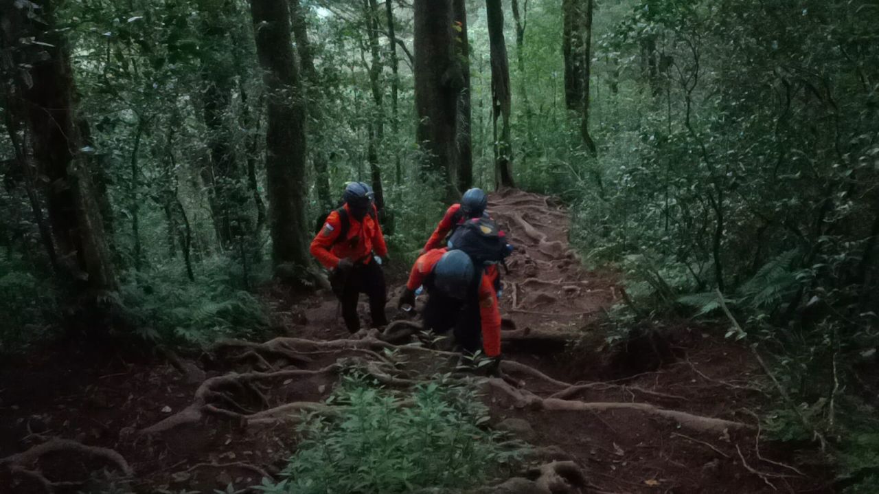 4 Pendaki Tersesat di Gunung Batukaru Tabanan Akhirnya Ditemukan
