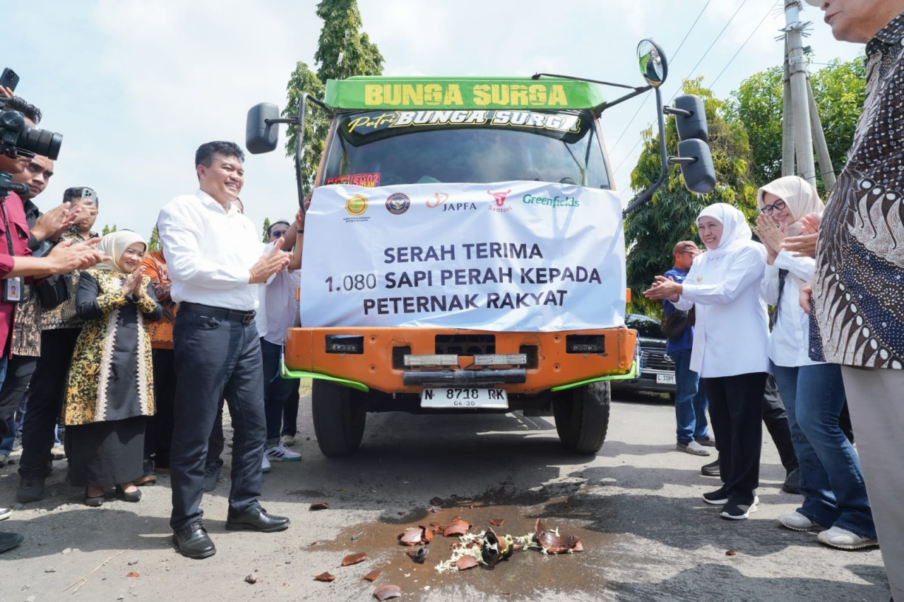 1.080 Ekor Sapi Perah Australia Tiba di Jatim, Gubernur Khofifah Optimis Tingkatkan Produksi Susu dan Pemerataan Ekonomi