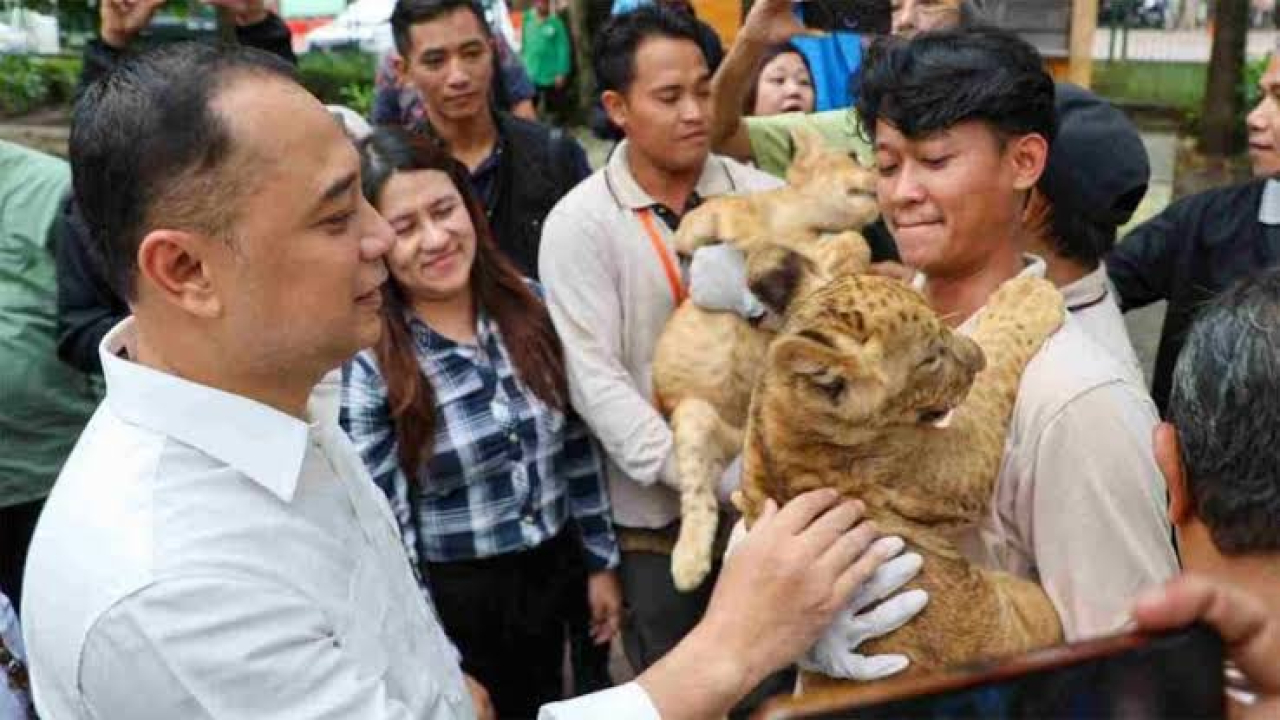 Walikota Eri Cahyadi Utamakan Inovasi dan Wahana Baru KBS