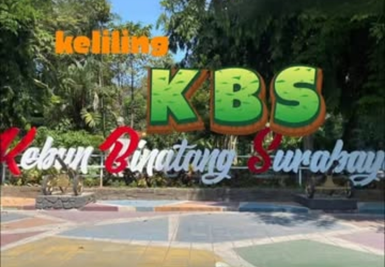 Agus dan Lansia Gratis Masuk Kebun Binatang Surabaya 17 Agustus 2025