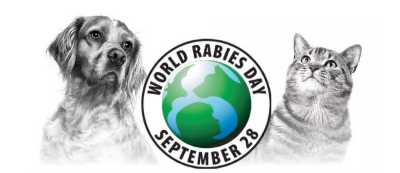 Vaksinasi Anjing dan Kucing di Puskeswan Jiwan Madiun, Menyambut Hari Rabies Sedunia 2025