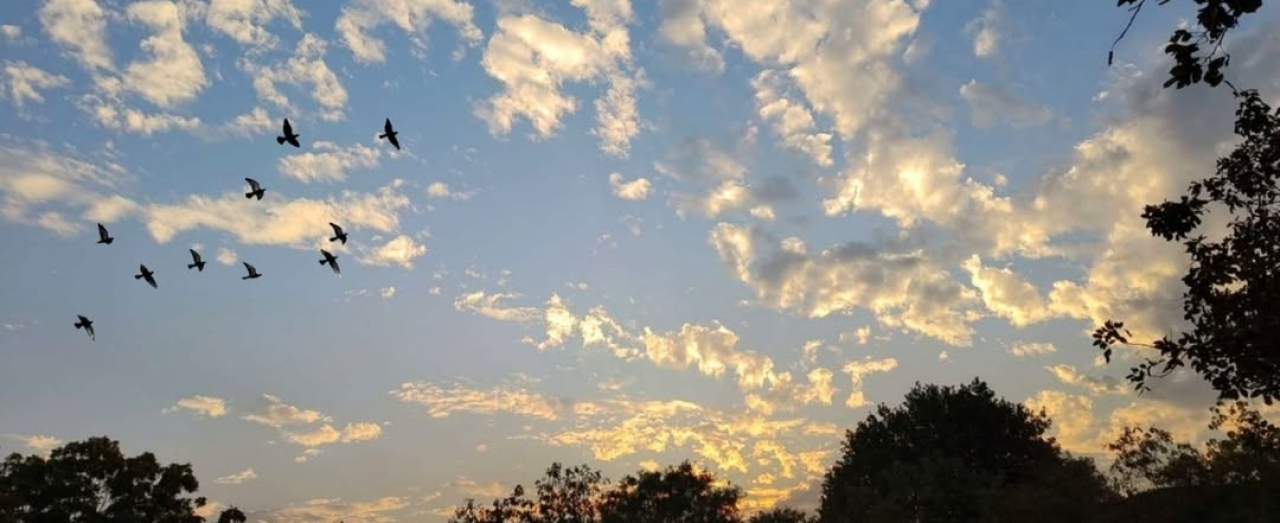 Langit sudah Terang Pukul 05.00 WIB Padahal Dulu masih Gelap, Ini Penjelasan BMKG dan BRIN
