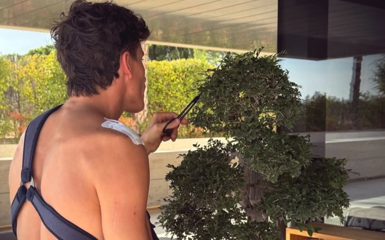 Masa Pemulihan, Marc Marquez Merawat Bonsai