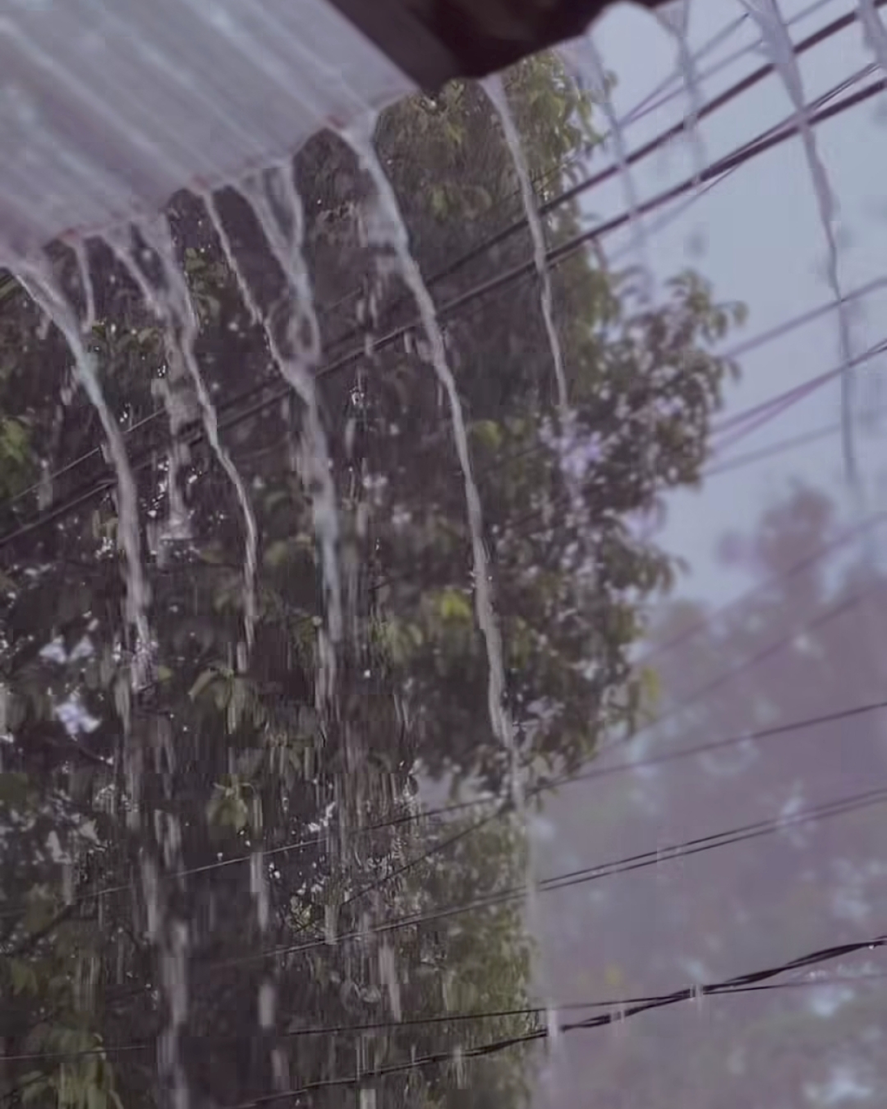 31 Daerah Berpotensi Cuaca Ekstrem di Jawa Timur, 6–12 November 2025