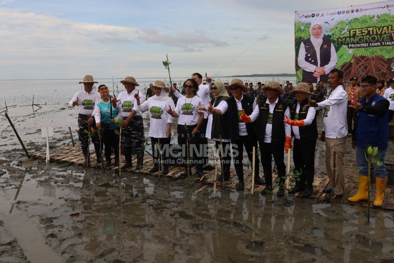 Penanaman mangrove oleh Gubernur Jatim, Khofifah Indar Parawansa, Senin (3/11/2025).